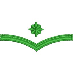 Col10A4.jpg