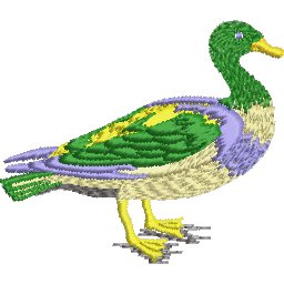 Col31A5.jpg