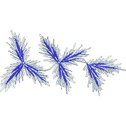 Col33A5.jpg