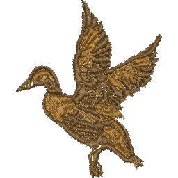 Col38A1.jpg