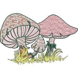 Col636D.jpg