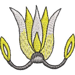 Col6A7B.jpg