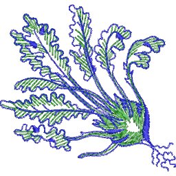 Col8C55.jpg