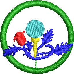 Col8D04.jpg