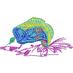 Col8D45.jpg