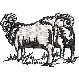 Col9355.jpg