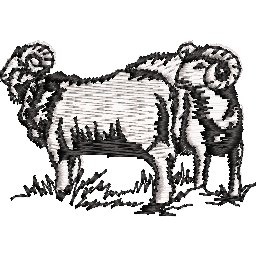 Col9470.jpg