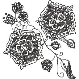 ColB6B9.jpg