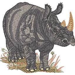 ColB9A6.jpg