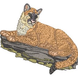 ColBC19.jpg