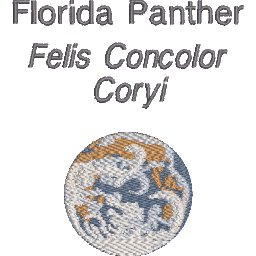 ColBD62.jpg