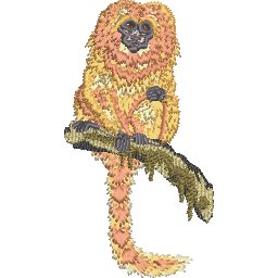 ColC0E0.jpg