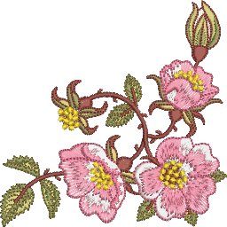ColC38F.jpg