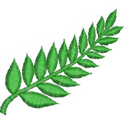 ColCC5.jpg