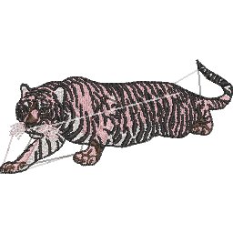 ColCC50.jpg