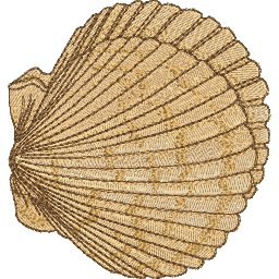 ColE130.jpg