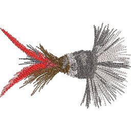 ColED99.jpg