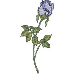ColEECA.jpg