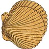 Col141.jpg
