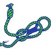 Col202D.jpg