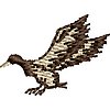 Col41C2.jpg