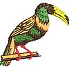 Col459E.jpg