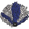Col58E4.jpg