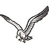 Col59D6.jpg