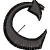 Col8495.jpg