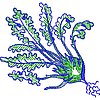 Col8C55.jpg