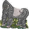 Col968D.jpg
