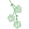Col97A9.jpg