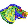 Col9F80.jpg
