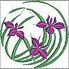 ColA812.jpg