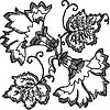 ColBC6A.jpg