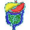 ColBF88.jpg
