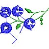 ColC003.jpg