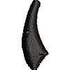 ColC927.jpg