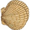 ColE130.jpg