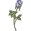 ColEECA.jpg