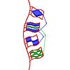 ColF124.jpg