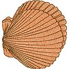 ColFD68.jpg