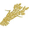 ColFE1E.jpg